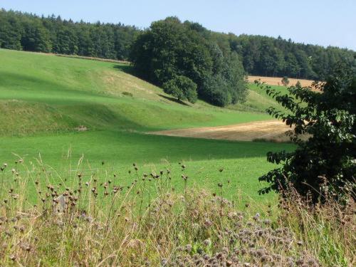 Landgasthof Zur Post Heiligenborn Rom bilde